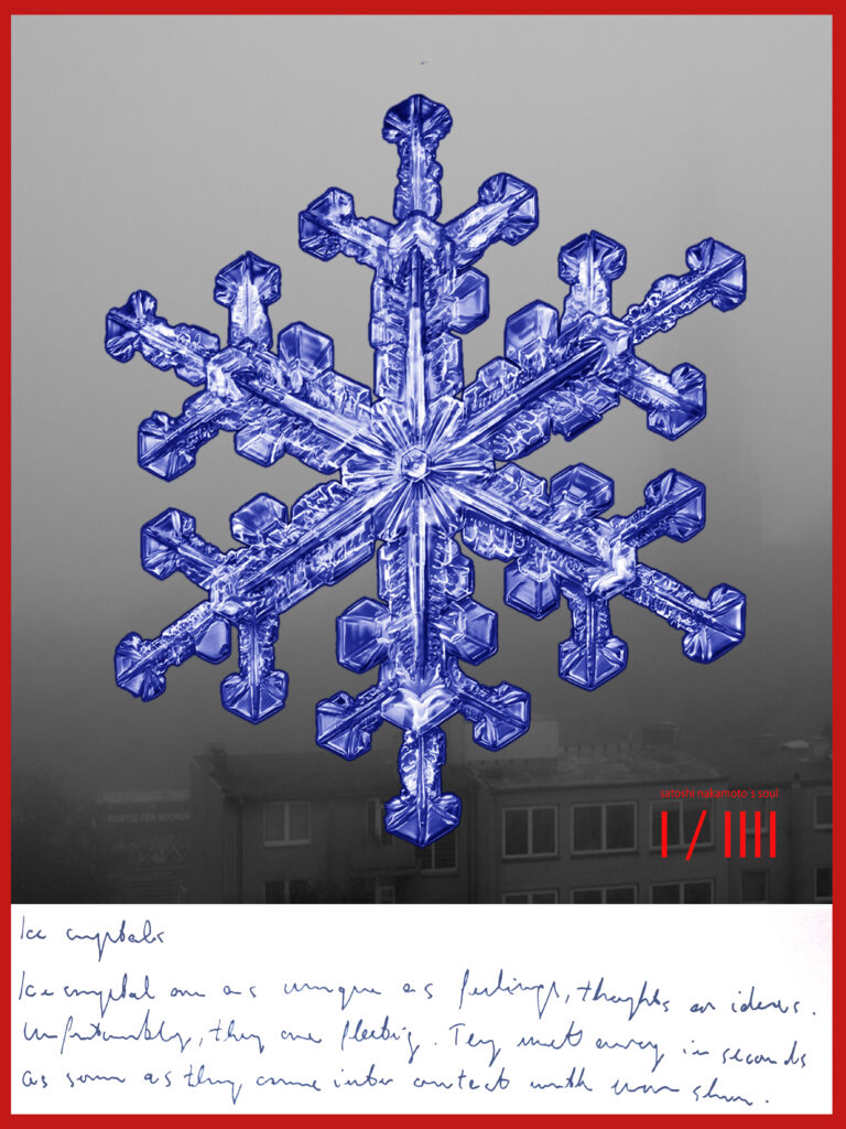 Ice Crystals - Ice crystals are as unique as feelings, thoughts or ideas. Unfortunately, they are fleeting. They melt away in seconds as soon as they come into contact with warm skin.