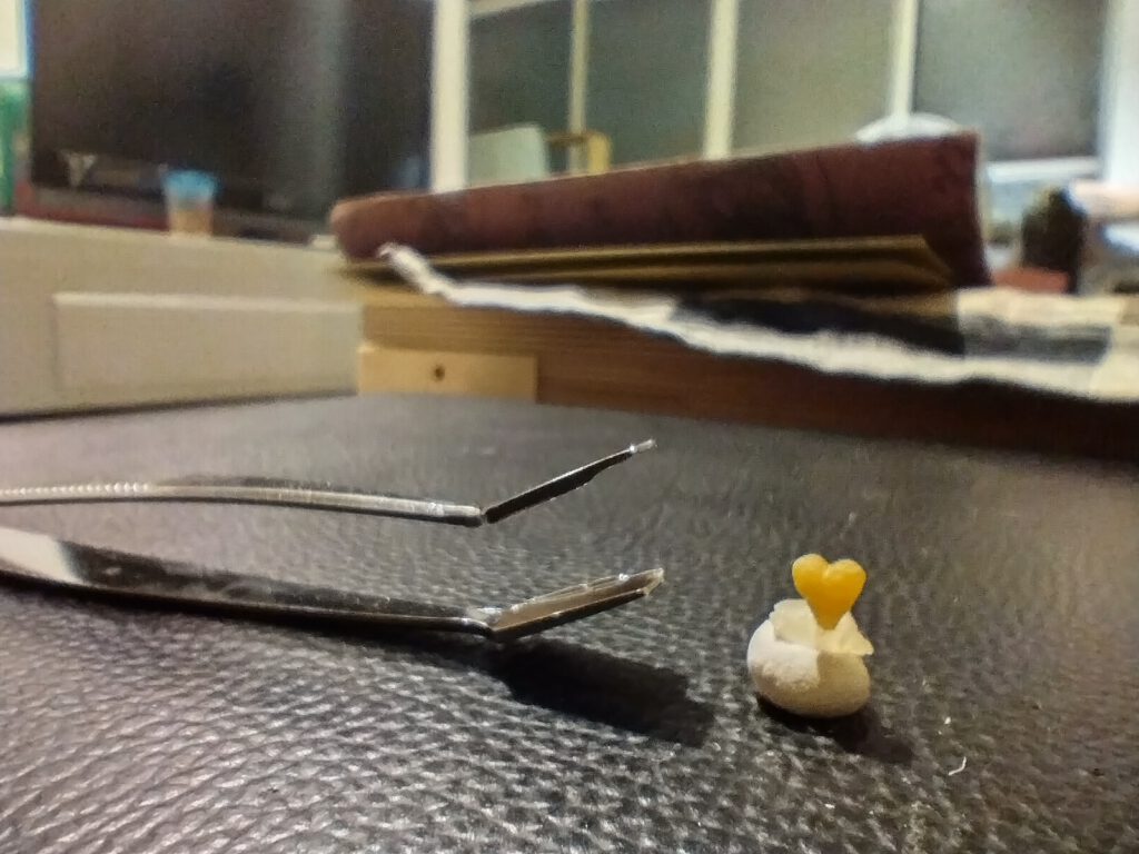 IMG_20230619_221754_MP